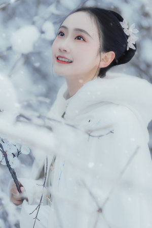 日韩在线观看免费全集电视剧大全